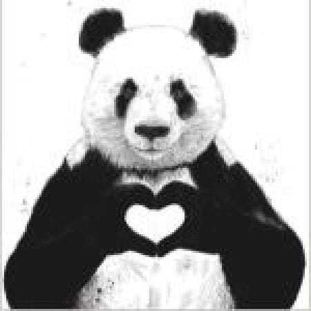 Panda Love Heart