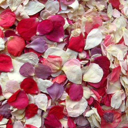 Bag of Rose Petals